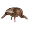 Buy Avian-X HDR Heavy-Duty Realism Full-Body Feeder Hen Turkey Decoy