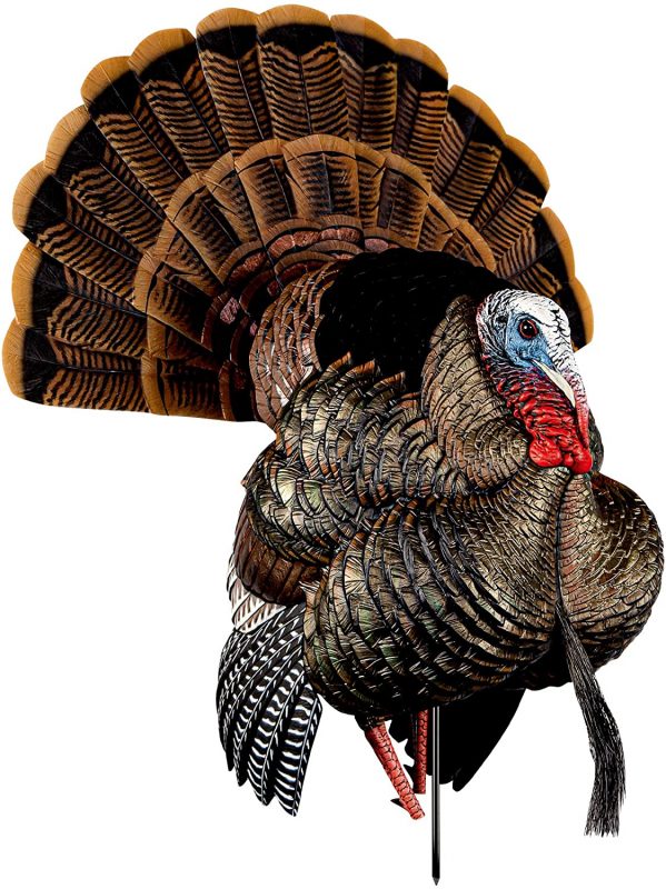 Avian-X-HDR-Heavy-Duty-Realism-Full-Body-Strutter-Turkey-Decoy-599x800 Buy Avian-X HDR Heavy-Duty Realism Full-Body Strutter Turkey Decoy