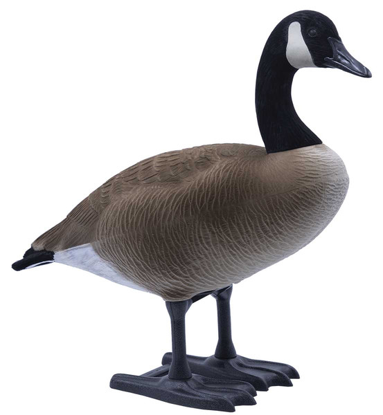 Big-Foot-B2-Full-Body-Canada-Goose-Decoy-Packs-Feeder Buy Big Foot B2 Full-Body Canada Goose Decoy Packs – Feeder