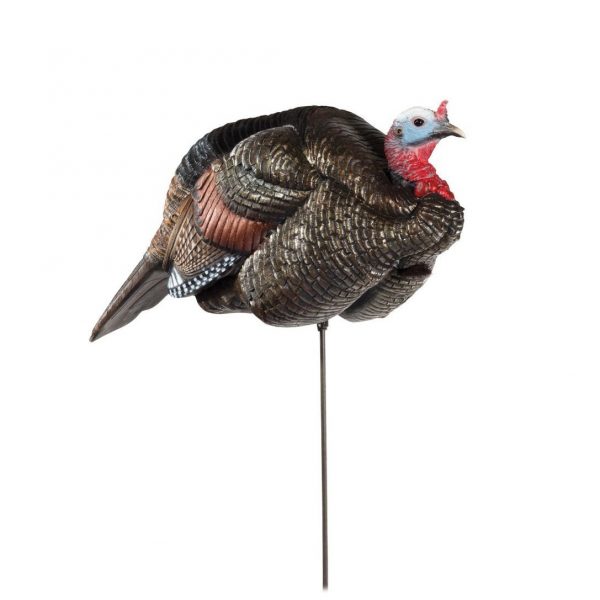 aa-600x600 Buy Dave Smith Decoys 3/4-Strut Jake Turkey Decoy