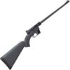 Buy Henry US Survival AR-7 Semi-Auto Rimfire Rifle
