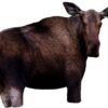 Buy Montana Decoy – Moose II Decoy